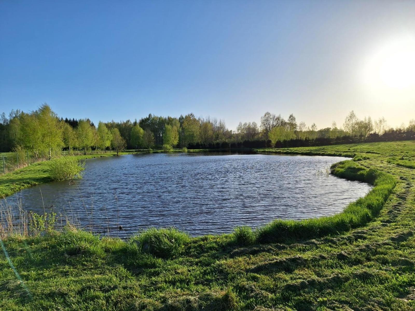 Caloroczny Domek Letniskowy Ze Stawem Villa Harsz Екстериор снимка